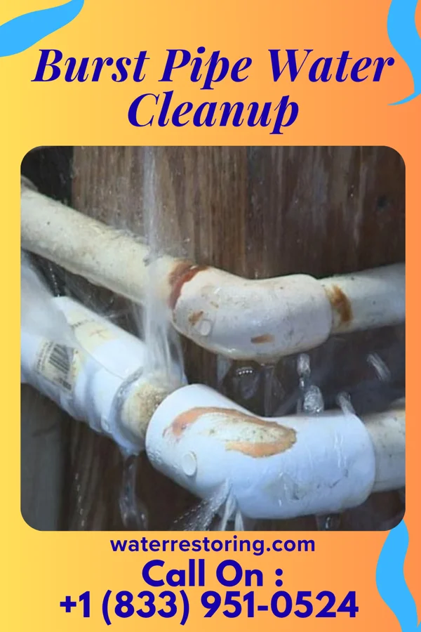 Burst Pipe Water Cleanup in Mapletown, PA