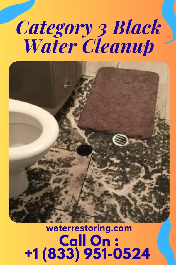 Category 3 Black Water Cleanup in Mapletown, PA