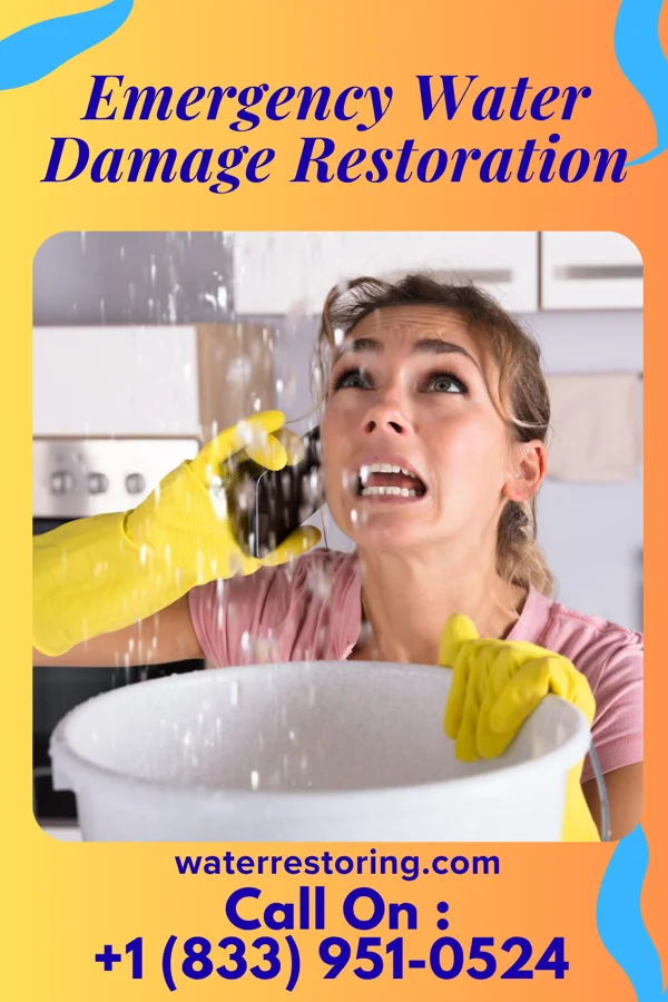 Emergency Water Damage Restoration in Mapletown, PA