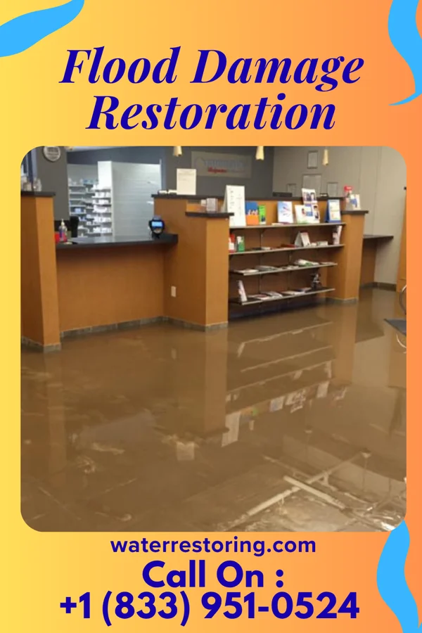 Flood Damage Restoration in Mapletown, PA