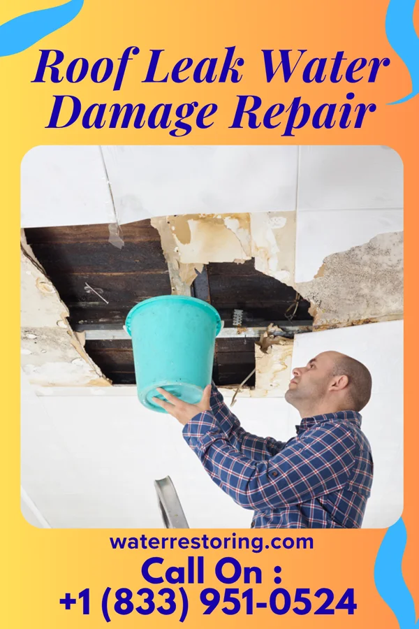 Roof Leak Water Damage Repair in Mapletown, PA
