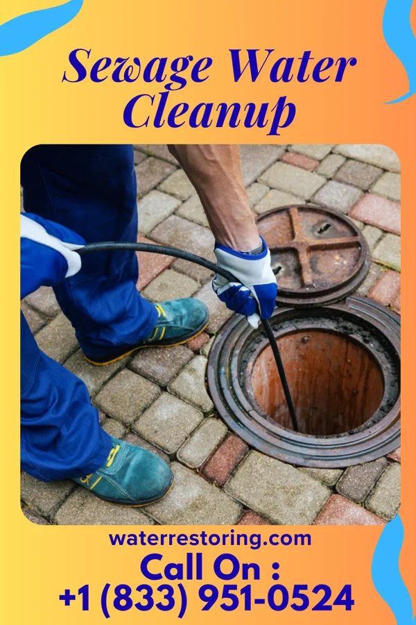 Sewage Water Cleanup in Mapletown, PA
